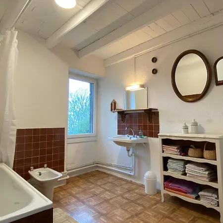 Au Coeur Des Volcans Ceyssat